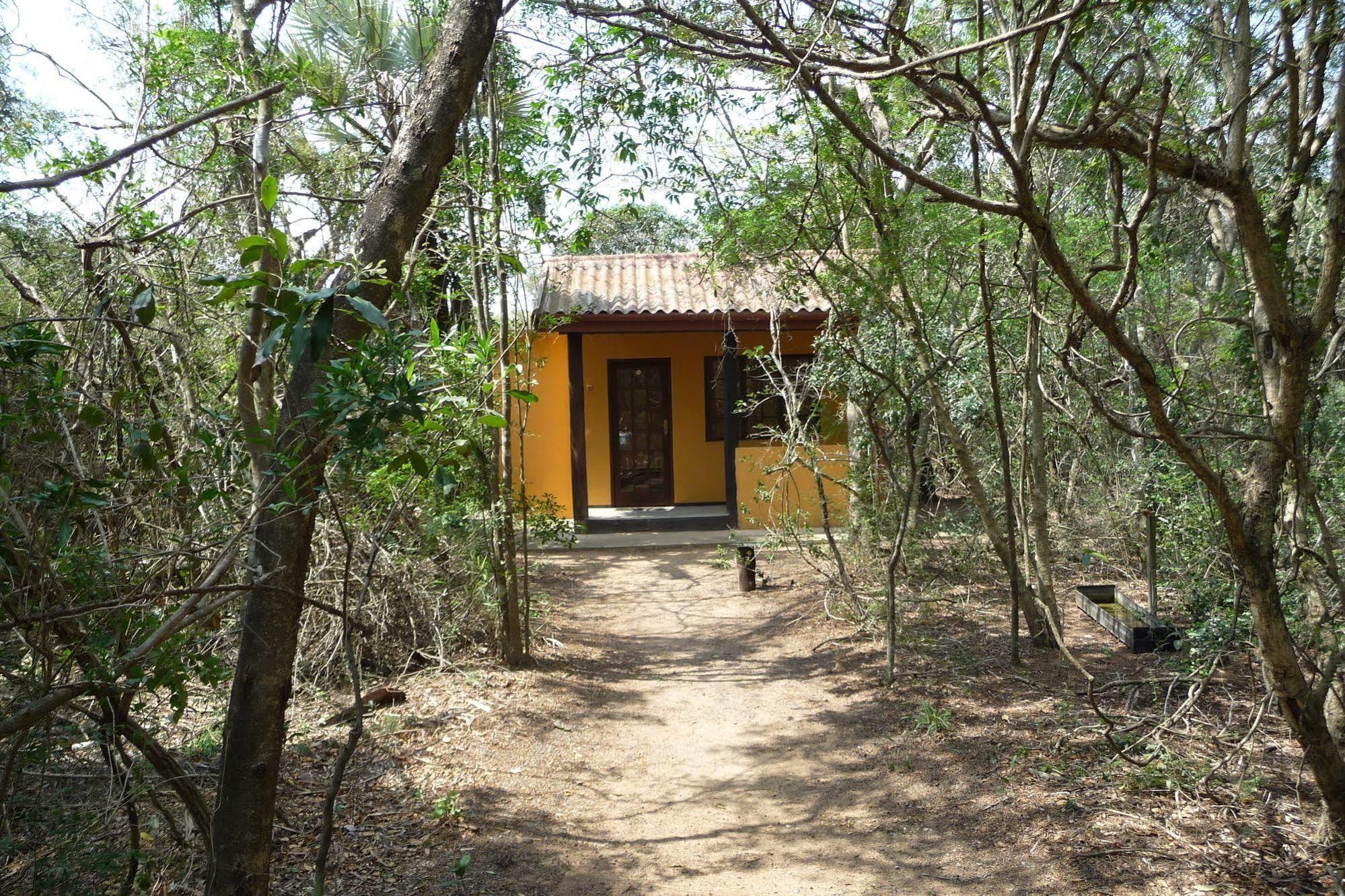 Hotel Isinkwe Backpackers Bushcamp Hluhluwe Exterior foto
